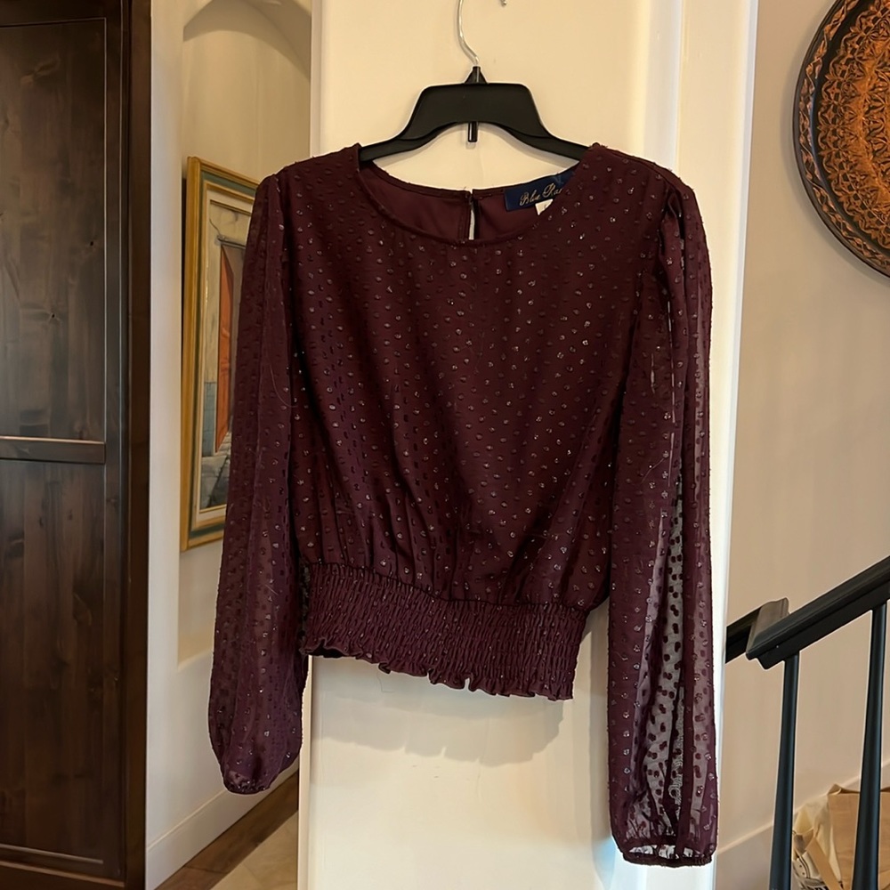 Purple Long Sleeve Top Francescas Size Large